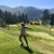 Kris Pollay DeLair's profile image