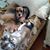 Beth Illemszky's profile image