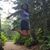 Diane Wilson Richied's profile image