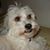 Lia Kosonen Berez's profile image