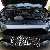 Scott Bowman's profile image