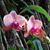 Marilyn C Montgomery's profile image