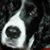 Terrence W. Hurtig Jr.'s profile image