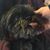 Dian Studstill Smith's profile image