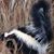 Daryl Thomas's profile image