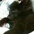 Paul Chancey's profile image