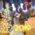 Darlene Spivey Fisher's profile image