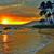 Janice Wallin's profile image