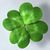 Wendy McNeil's profile image