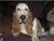 Ms.Brandy M.'s profile image