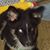 Mark Bass's profile image