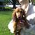 Cindy Reid's profile image