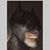 Shawn Mammon's profile image