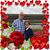 Ken Thomas's profile image