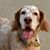 Suzy Greenberg's profile image