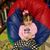Damaris E. Adams's profile image