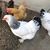 Cindy Smith's profile image