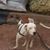 Wenceslao Umana's profile image