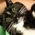 Lisa Riemer's profile image
