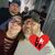 Patty Hattie's profile image