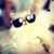 Fujiko Uematsu's profile image