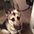 Linda Pfannkuchen's profile image