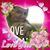 Norma Kingery-Cunningham's profile image