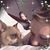 Kascy Cutlip's profile image