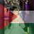 Nerveen Khaled's profile image