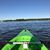 Shannon Biegger Jones's profile image