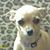 Jackie Carol Taylor's profile image
