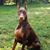 Kathleen Banks's profile image