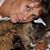 Robin Ann Simco-Ardito's profile image