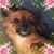 Emy Hida's profile image