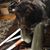 Julie Ferrin's profile image