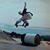 Lane Guffy's profile image