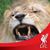 Richard Allen's profile image