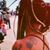 Malakiah Ann's profile image