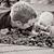 Kyle Goerl's profile image