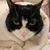 Lori Rothschild's profile image