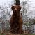 Andy Thompson's profile image