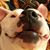 Starling Tulle's profile image