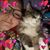 Mildred King Autrey's profile image