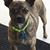 Marna Moss's profile image