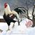 Linda Pense's profile image