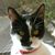 Michelle Simons's profile image