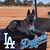 David Martinez's profile image