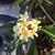 Sharon Dupont Brady's profile image
