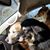 Tammy Layne Smith's profile image