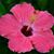 Heather Brown's profile image